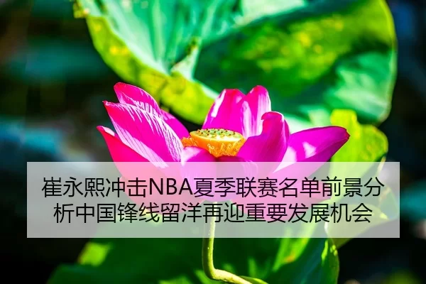 崔永熙冲击NBA夏季联赛名单前景分析中国锋线留洋再迎重要发展机会