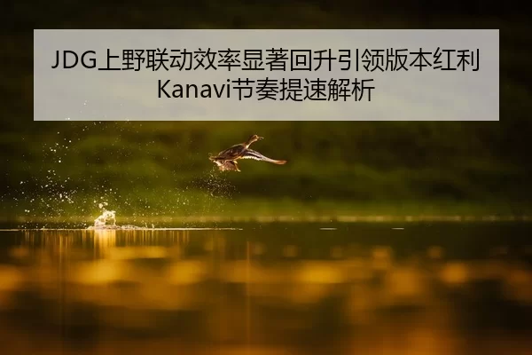 JDG上野联动效率显著回升引领版本红利Kanavi节奏提速解析